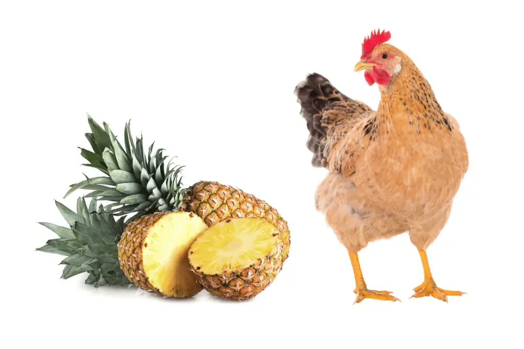 chicken and pineapple