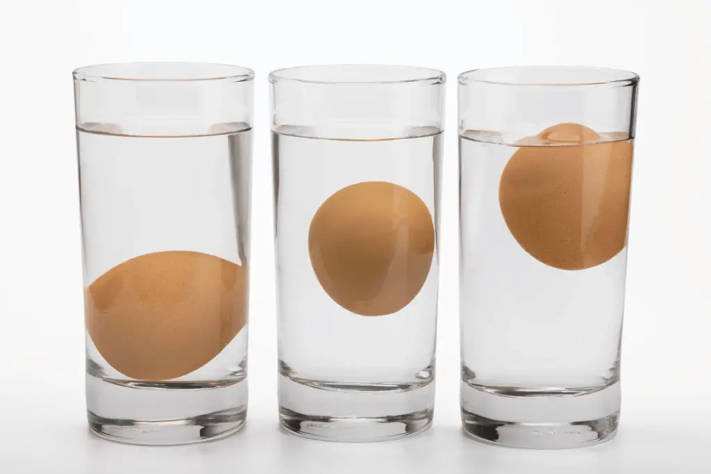 egg float test