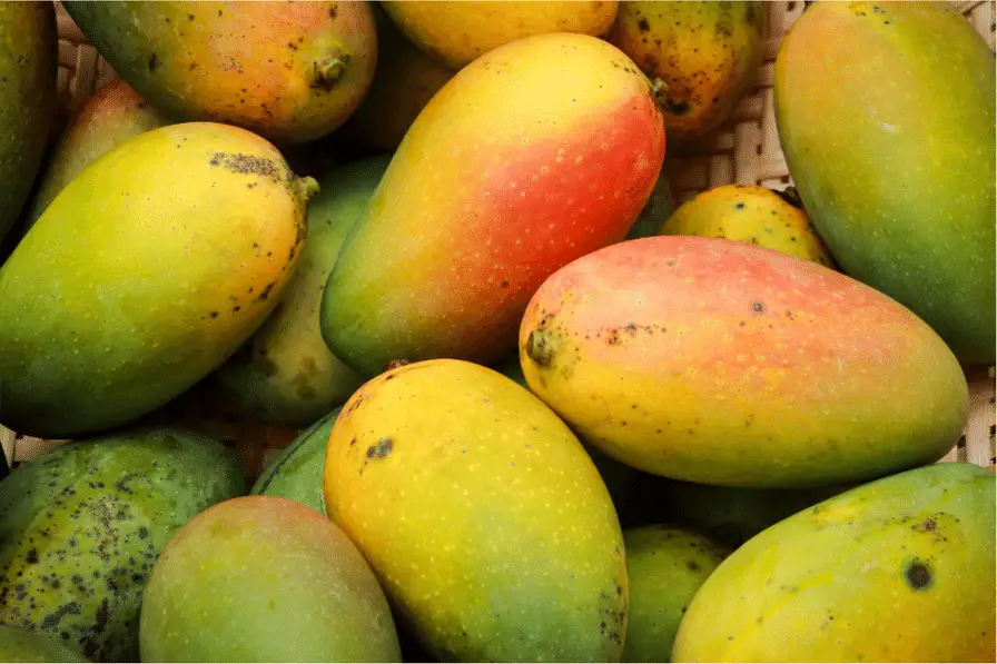 a bunch of mangoes 