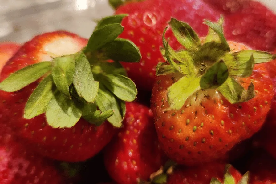 strawberry stems and leaves