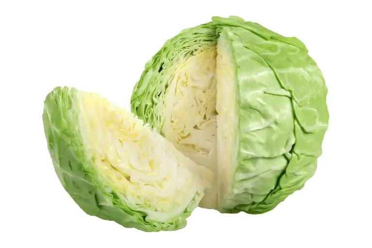 cabbage sliced