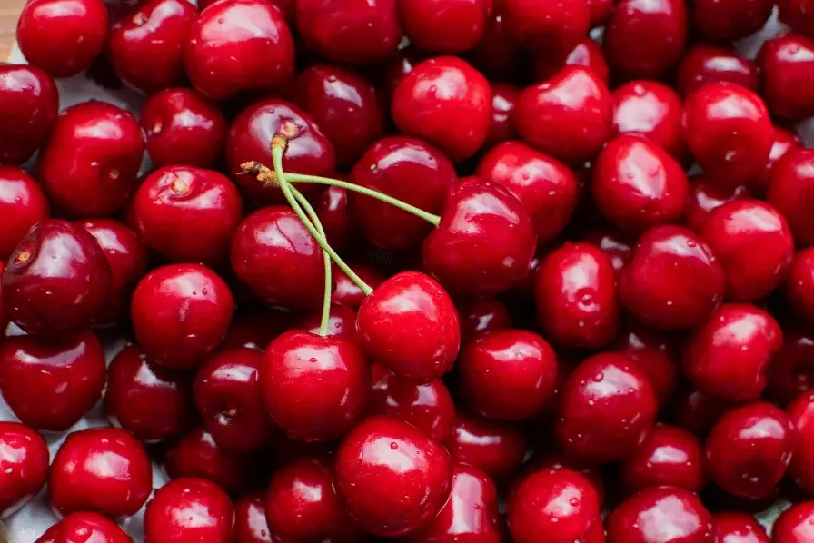 cherries for chickens