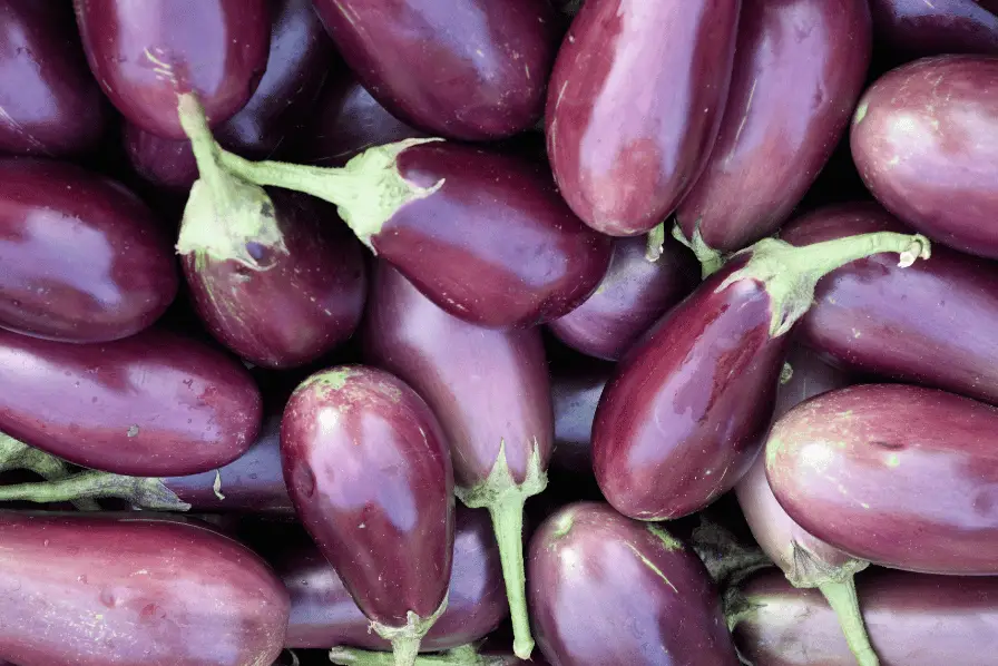 pile of eggplants