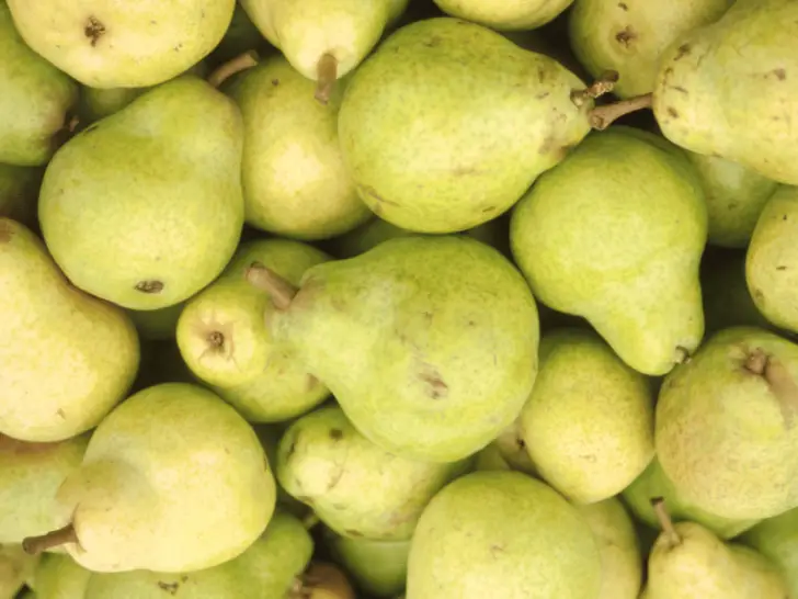 Can Chickens Eat Pears? Everything You Should Know