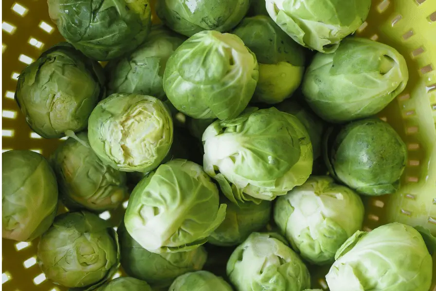 brussels sprouts in a collander