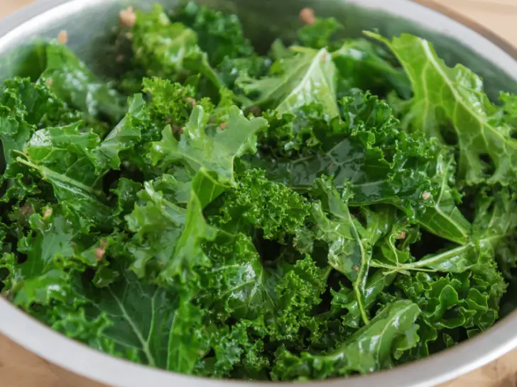 Can Chickens Eat Kale? Everything You Should Know