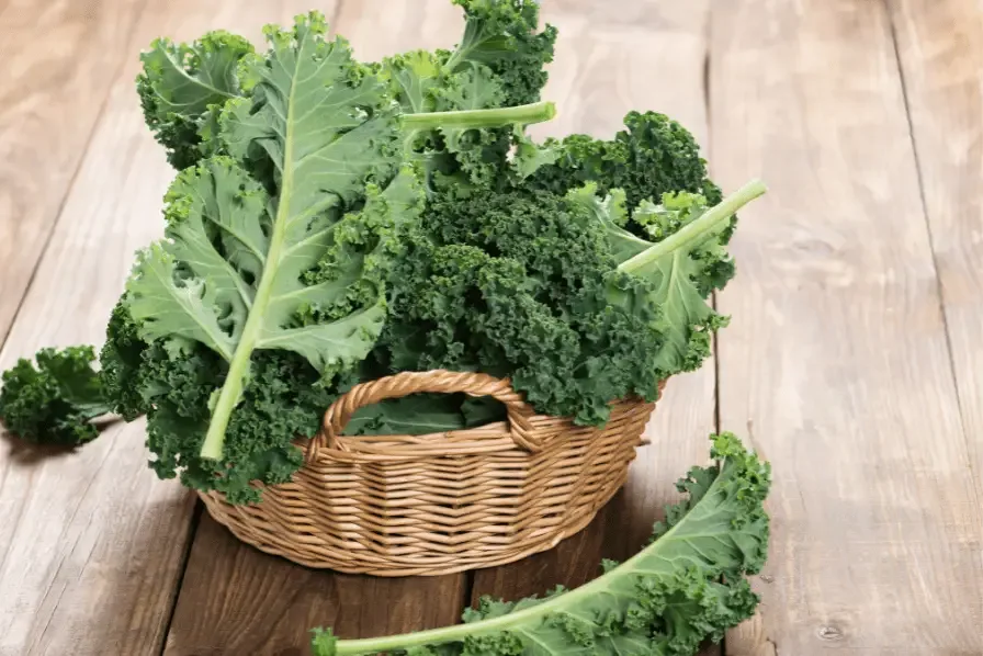 kale in a bowl